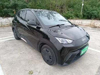 2023 BYD Seagull Vitality Edition, фото 4, лот 10837419