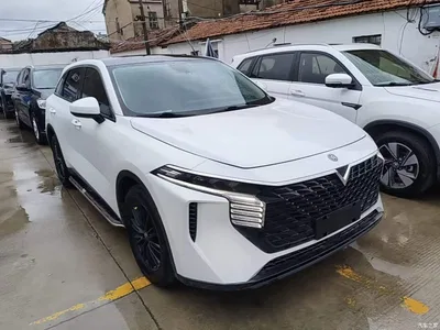 2021 Venucia Big V 260T Idol Edition, фото 4, лот 11153575