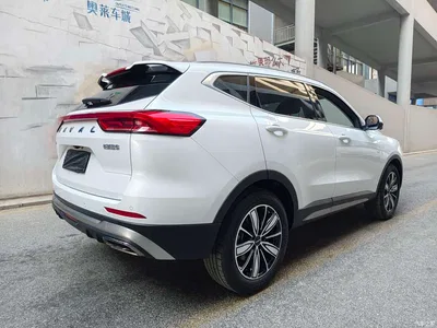 2023 Haval H6 National Trend Edition 1.5T Automatic Champion, фото 4, лот 10283733