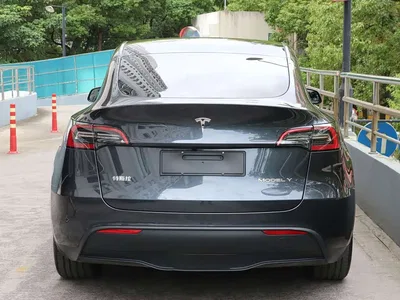 2024 Tesla Model Y Rear-Wheel Drive Version, фото 4, лот 11216670