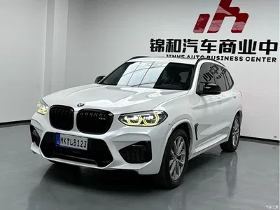 2018 BMW X3 xDrive25i Luxury Package China V, фото 1, лот 10461350