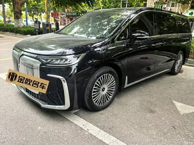 2025 Voyah Auto Voyah Dreamer PHEV AWD Excellent Kunpeng Edition, фото 1, лот 10351435