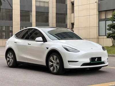2021 Tesla Model Y Standard Range Rear-Wheel Drive, фото 3, лот 10397883