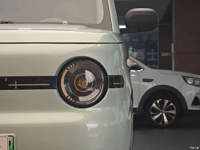 2025 Geely Galaxy Panda mini 210km Vitality Bear, фото 2, лот 10879762