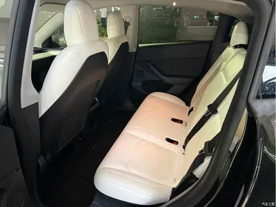 2021 Tesla Model Y Standard Range Rear-Wheel Drive, фото 3, лот 10954762