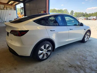 2023 TESLA MODEL Y, фото 3, лот 10854791