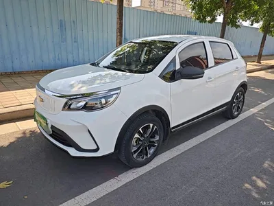 2021 Geely EX3 Kung Fu Bull Strong Bull, фото 1, лот 11511644