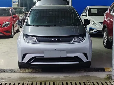 2021 BYD Dolphin 405km Freedom Edition, фото 3, лот 10264152