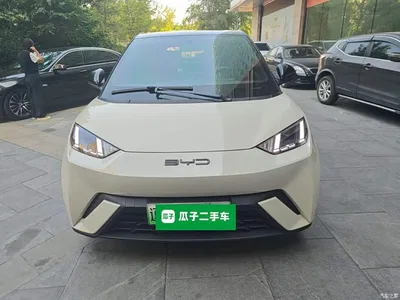 2023 BYD Seagull Freedom Edition, фото 2, лот 10999091