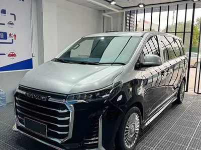 2016 SAIC Maxus Maxus G10 2.0T Automatic Luxury Executive Edition, фото 1, лот 11160674