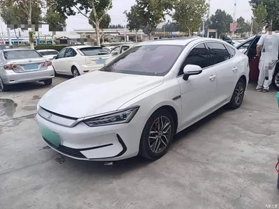 2021 BYD Qin PLUS EV 500KM Premium Model, фото 1, лот 10893894