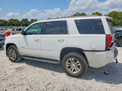 2019 CHEVROLET TAHOE C1500 LS, фото 2, лот 10704276