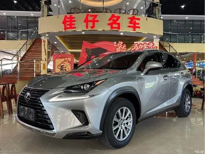 2018 Lexus NX Model 300 FWD Fengxing Edition, фото 1, лот 10314842