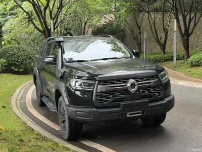 2023 Great Wall Pao 2.0T Off-road Edition Auto Diesel 4WD Premium, фото 3, лот 11011517