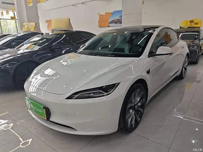 2023 Tesla Model 3 Long Range All-Wheel Drive, фото 1, лот 11179353