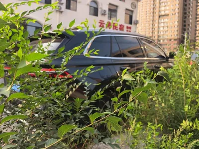 2024 Geely Xingyue L Model 2.0TD High-Power Automatic 2WD Skyline Edition, фото 3, лот 11449523