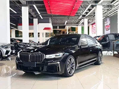 2019 BMW 7 Series Facelift M760Li xDrive V12 Sport Package, фото 1, лот 10237877