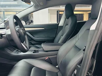 2020 Tesla Model 3 Standard Range Rear-Wheel Drive Upgrade, фото 4, лот 10352140