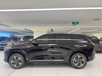 2024 Hongqi HS3 1.5T Virtue Edition, фото 4, лот 11409248