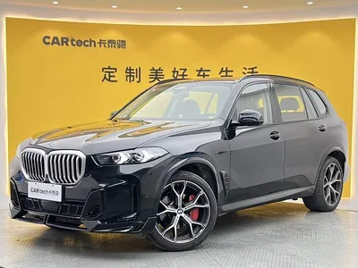 2023 BMW X5 xDrive 30Li Premium M Sport Black Night Package, фото 1, лот 10411002