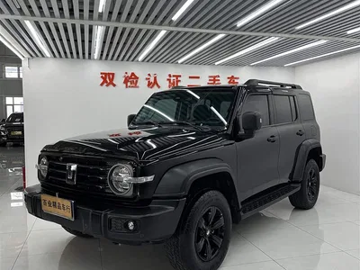 2021 Tank 300 Off-road Version 2.0T Conqueror, фото 1, лот 11225423
