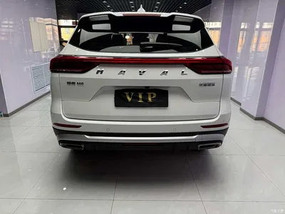 2021 Haval H6 1.5GDIT Automatic Champion Edition, фото 3, лот 10283590
