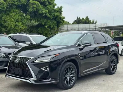 2016 Lexus RX 300 AWD F SPORT Edition China V, фото 1, лот 10316869