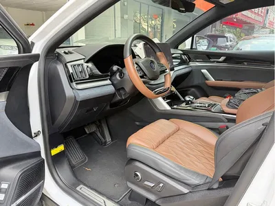 2021 BYD Tang New Energy DM 2.0T AWD High Performance Genesis Flagship, фото 4, лот 11520113