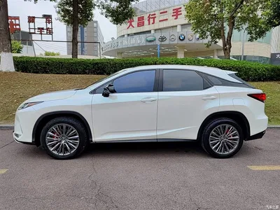 2020 Lexus RX Facelift 300 2WD Elite Edition, фото 3, лот 10316373