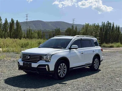 2020 GAC Trumpchi Trumpchi GS8 390T 2WD Luxury Smart Connect Anniversary Edition (7-Seater), фото 1, лот 10417780