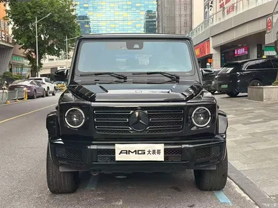 2020 Mercedes-Benz G-Class G 500 Dark Night Special Edition, фото 2, лот 10280925
