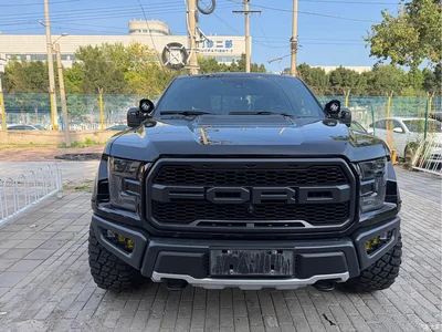 2017 Ford F-150 Raptor 3.5T Raptor Performance Edition, фото 2, лот 11174493