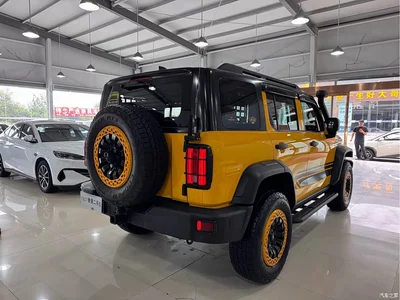 2022 Tank 300 2.0T Border Limited Edition, фото 3, лот 10344841