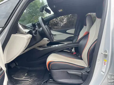 2021 BYD Dolphin 405km Freedom Edition, фото 4, лот 10246281