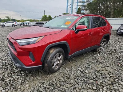 2024 TOYOTA RAV4 LE, фото 1, лот 11124221