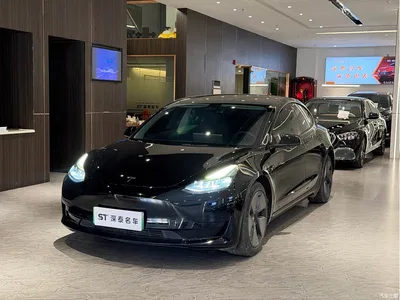 2022 Tesla Model 3 Model Rear-Wheel Drive Version, фото 1, лот 10900485