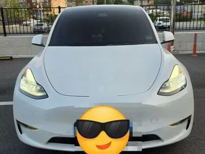 2022 Tesla Model Y Long Range AWD, фото 4, лот 10120504