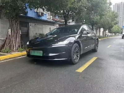 2025 Tesla Model 3 Long Range All-Wheel Drive, фото 1, лот 11397585