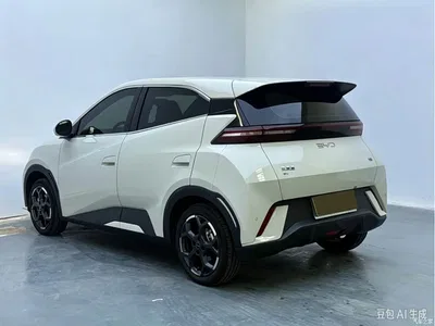 2024 BYD Seagull Glory Edition 405km Soaring Edition, фото 4, лот 11583034
