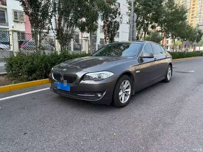 2013 BMW 5 Series 520Li Elegance, фото 1, лот 11239810