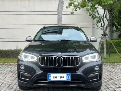 2017 BMW X6 xDrive35i Leading, фото 2, лот 10455880