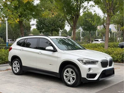 2016 BMW X1 sDrive18Li Premium Model, фото 3, лот 10769263