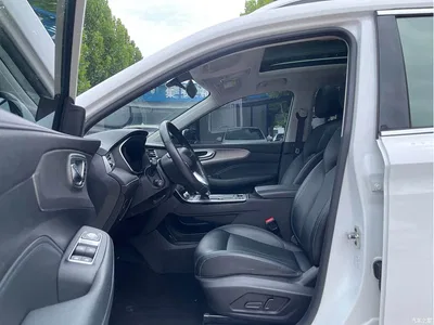 2020 Roewe RX5 PLUS 300TGI Auto Ali Guochao Flagship Edition, фото 4, лот 10340285