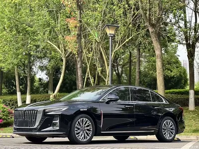 2023 Hongqi H5 1.5T DCT Smart Connect Joy Edition, фото 1, лот 10626227