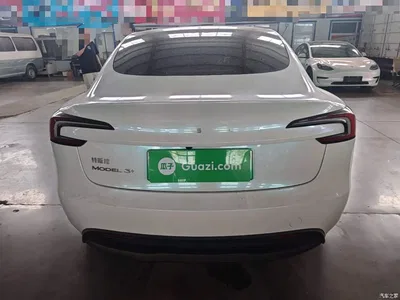 2025 Tesla Model 3 Model Rear-Wheel Drive Edition, фото 4, лот 10370341