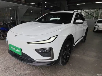 2023 Nezha Auto Nezha X 500, фото 1, лот 11144788