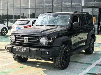 2021 Tank 300 Off-road Edition 2.0T Challenger, фото 1, лот 10385646