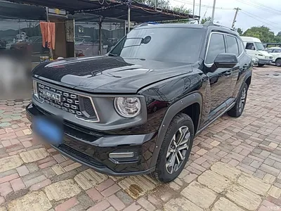2023 Haval Da Gou 2nd Gen 1.5T 2WD Trend & Wild Edition Plus, фото 1, лот 11513463