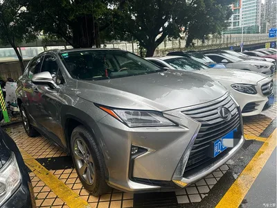 2020 Lexus RX 300 2WD Elite Edition China VI, фото 3, лот 10317791