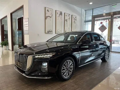 2023 Hongqi H5 2.0T Auto Smart Connect Flag Enjoy, фото 1, лот 10286846